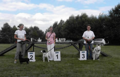 Keona auf dem 3.Platz beim Hunderennen